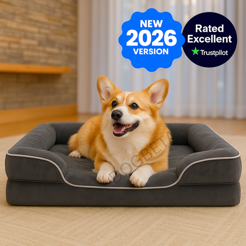 Supportive Memory Foam Orthopedic Dog Bed - DogBeta®️
