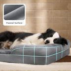 Premium Solid Orthopedic Dog Bed - DogBeta®️