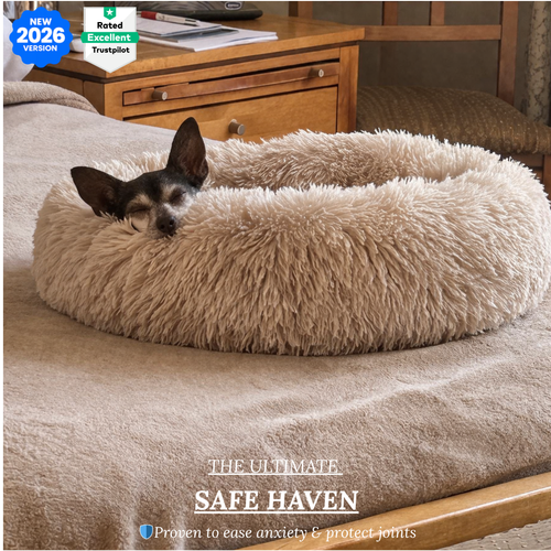 Premium Calming Dog Bed - Anti-Anxiety & Orthopedic - DogBeta®️