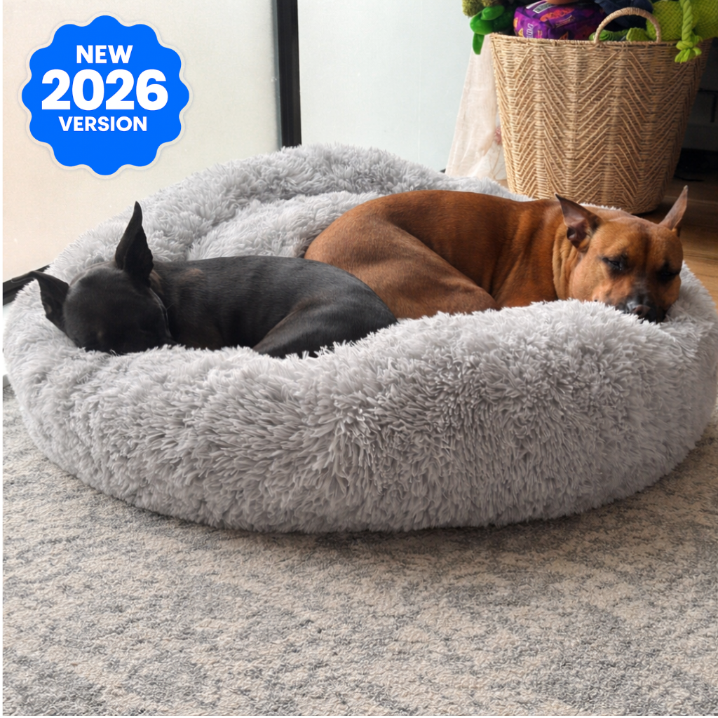 Premium Calming Dog Bed - Anti-Anxiety & Orthopedic - DogBeta®️