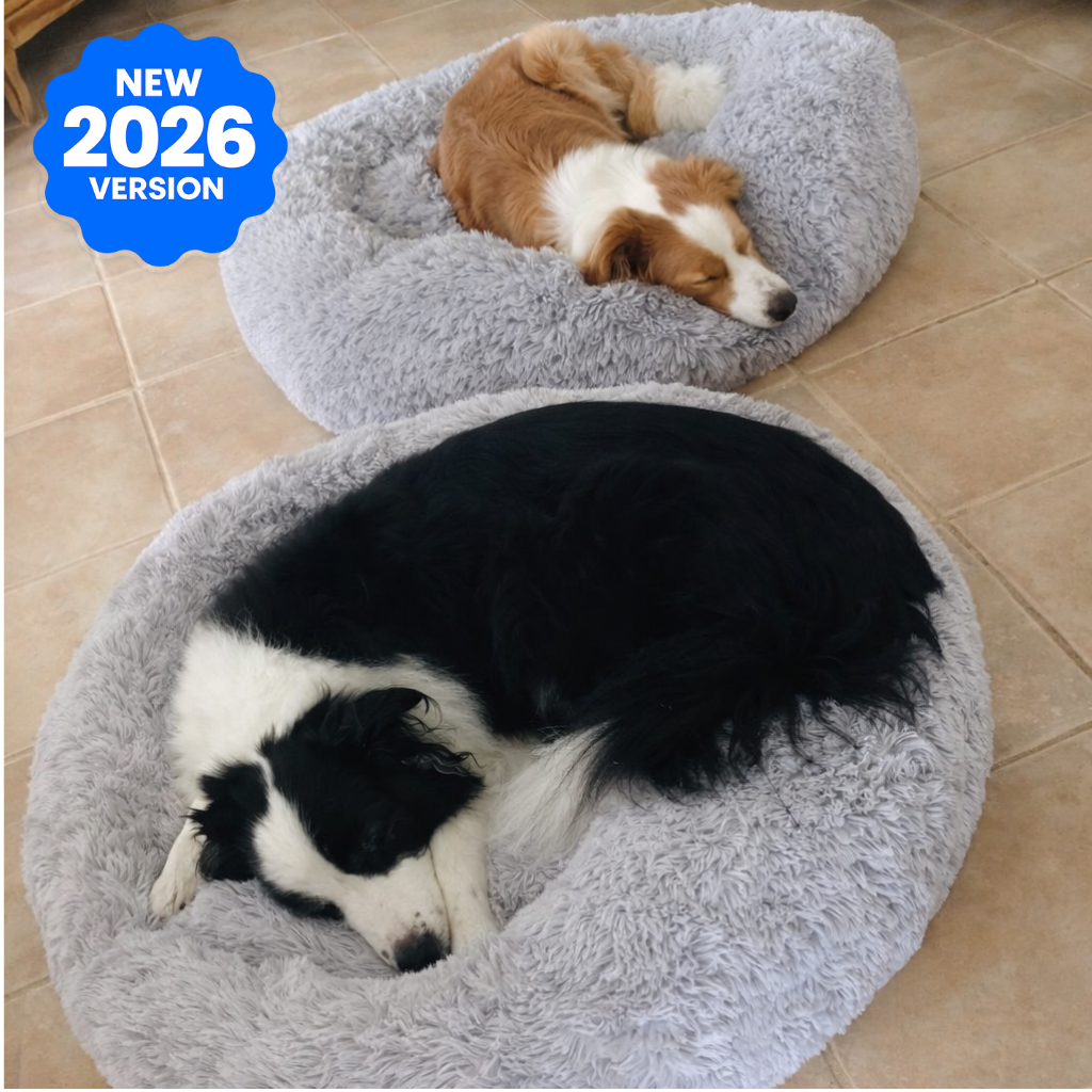Premium Calming Dog Bed - Anti-Anxiety & Orthopedic - DogBeta®️