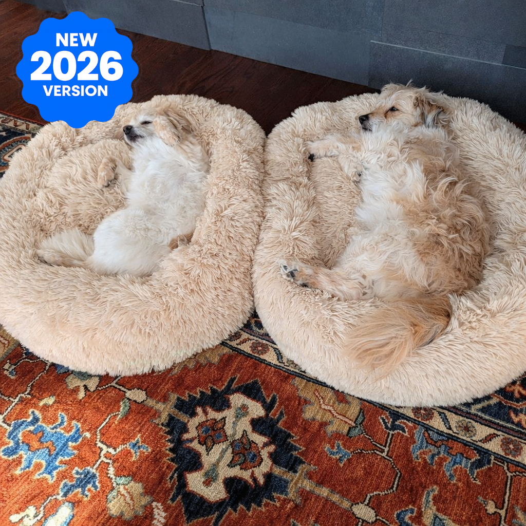 Premium Calming Dog Bed - Anti-Anxiety & Orthopedic - DogBeta®️