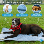 Summer cool and breathable pet sleeping mat - DogBeta®️