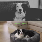 Premium Calming Dog Bed - Anti-Anxiety & Orthopedic - DogBeta®️