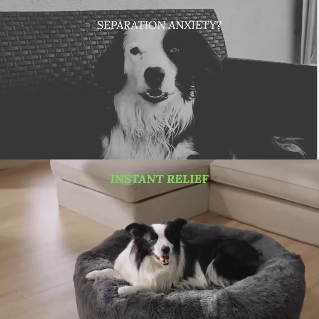 Premium Calming Dog Bed - Anti-Anxiety & Orthopedic - DogBeta®️